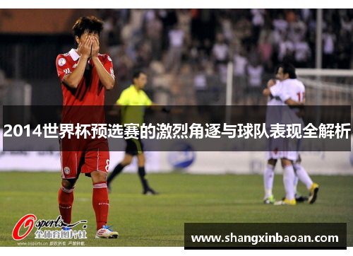 2014世界杯预选赛的激烈角逐与球队表现全解析