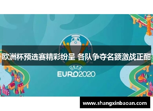 欧洲杯预选赛精彩纷呈 各队争夺名额激战正酣