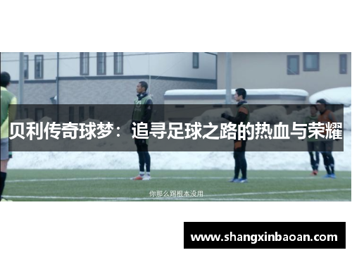 贝利传奇球梦：追寻足球之路的热血与荣耀