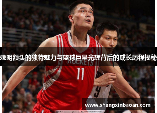 姚明额头的独特魅力与篮球巨星光辉背后的成长历程揭秘