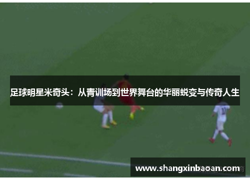 足球明星米奇头：从青训场到世界舞台的华丽蜕变与传奇人生