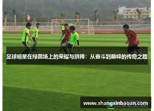 足球明星在绿茵场上的荣耀与拼搏：从奋斗到巅峰的传奇之路