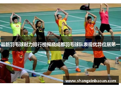 最新羽毛球耐力排行榜揭晓成都羽毛球队表现优异位居第一
