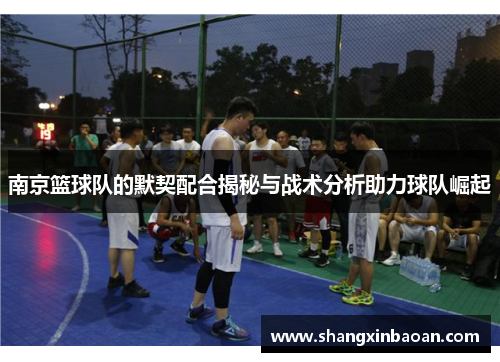 南京篮球队的默契配合揭秘与战术分析助力球队崛起