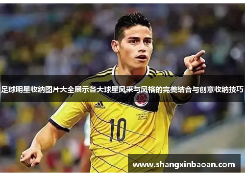 足球明星收纳图片大全展示各大球星风采与风格的完美结合与创意收纳技巧